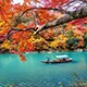 旺财28官方